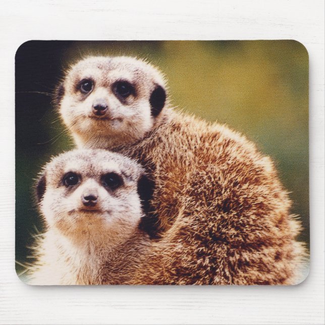 meercat mouse pad (Front)