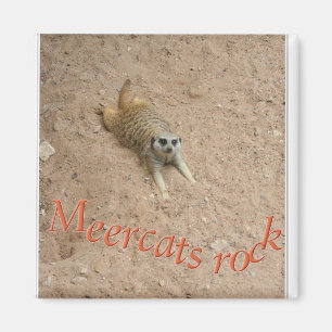 Meercats rock ! magnet