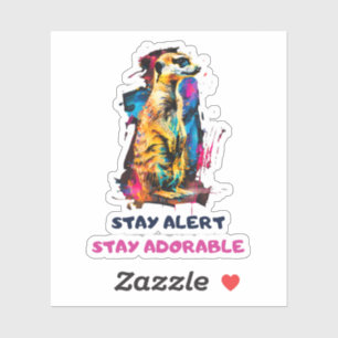 Meerkat