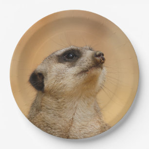 Meerkat20151002 Paper Plate