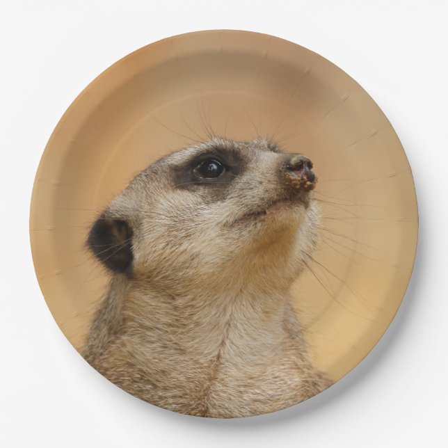 Meerkat20151002 Paper Plate (Front)