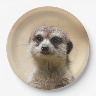 Meerkat20151004 Paper Plate