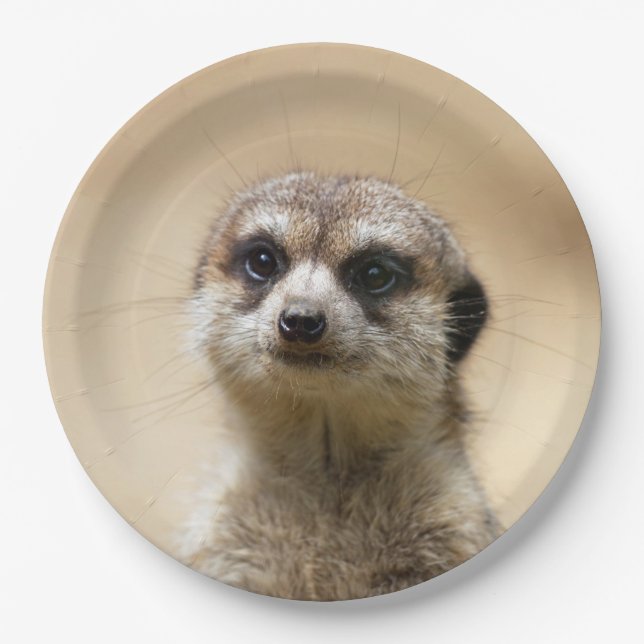 Meerkat20151004 Paper Plate (Front)