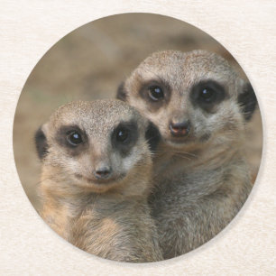 Meerkat20151015 Round Paper Coaster