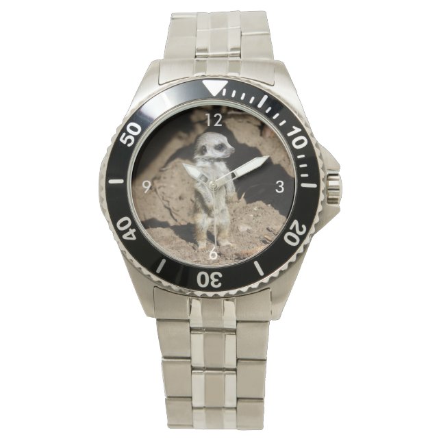 Meerkat20160201 Watch (Front)