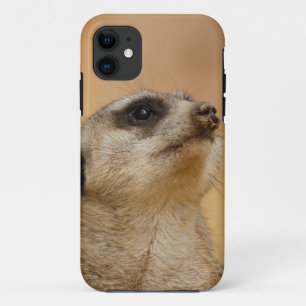 Meerkat_001_by_JAMFoto Case-Mate iPhone Case