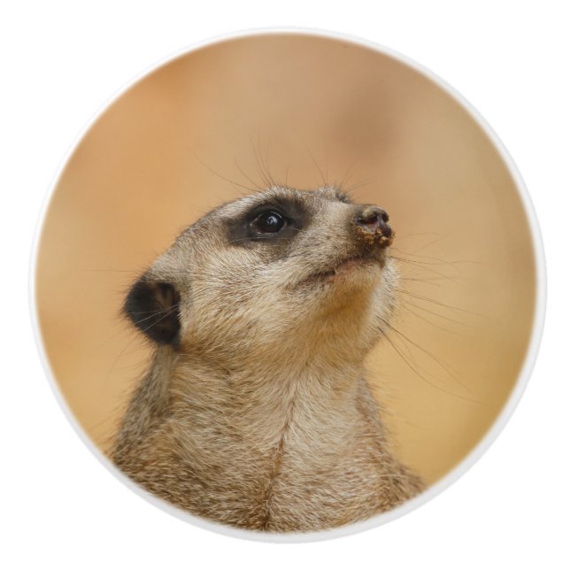 Meerkat 001 by JAMFoto Ceramic Knob (Front)