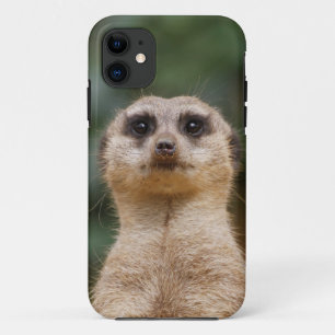 Meerkat 001 Case-Mate iPhone case