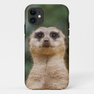 Meerkat 001 Case-Mate iPhone case