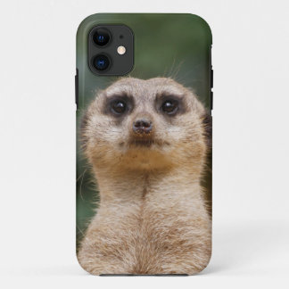 Meerkat 001 Case-Mate iPhone case