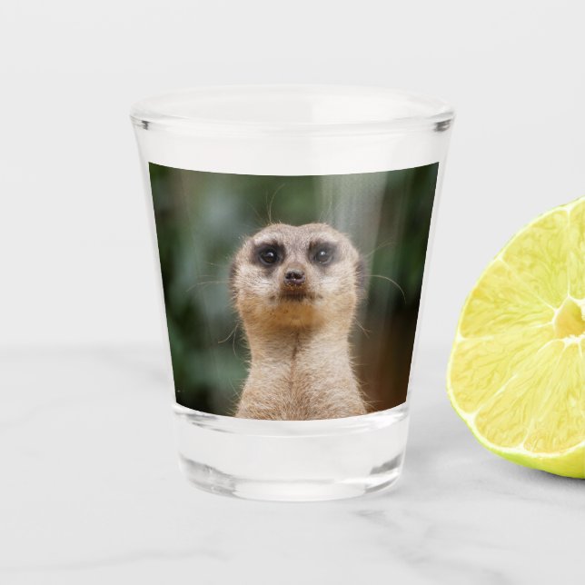 Meerkat 001 shot glass (Front)