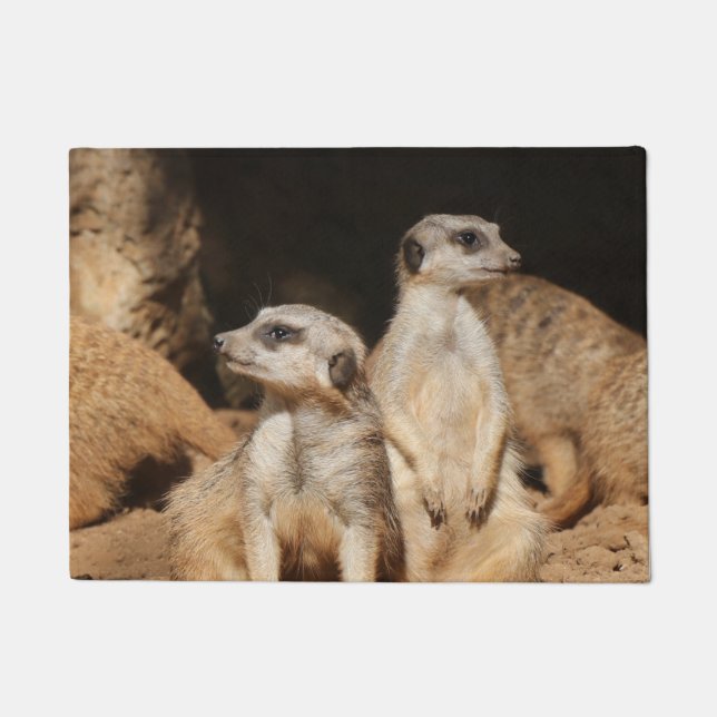 Meerkat 003 doormat (Front)
