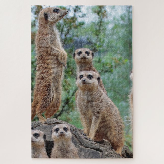 Meerkat_003 Jigsaw Puzzle (Vertical)