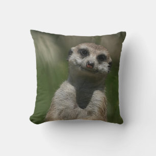 Meerkat 004 cushion
