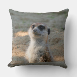 Meerkat 004 cushion