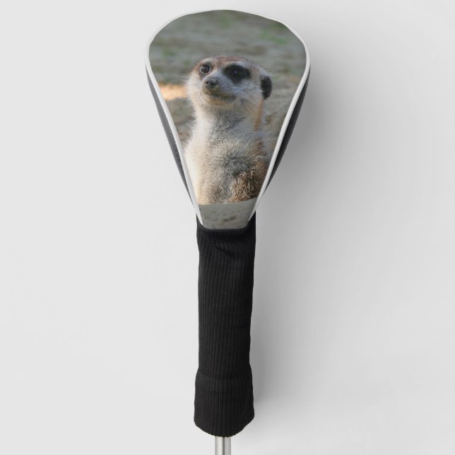 Meerkat 004 golf head cover (Front)