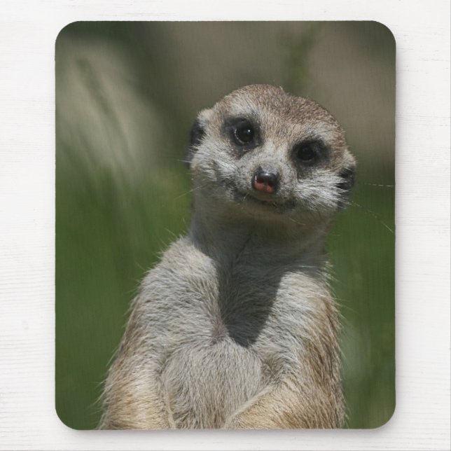 Meerkat 004 mouse pad (Front)