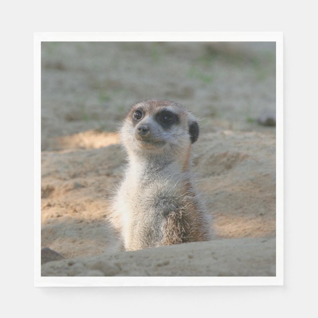 Meerkat 004 napkin (Front)