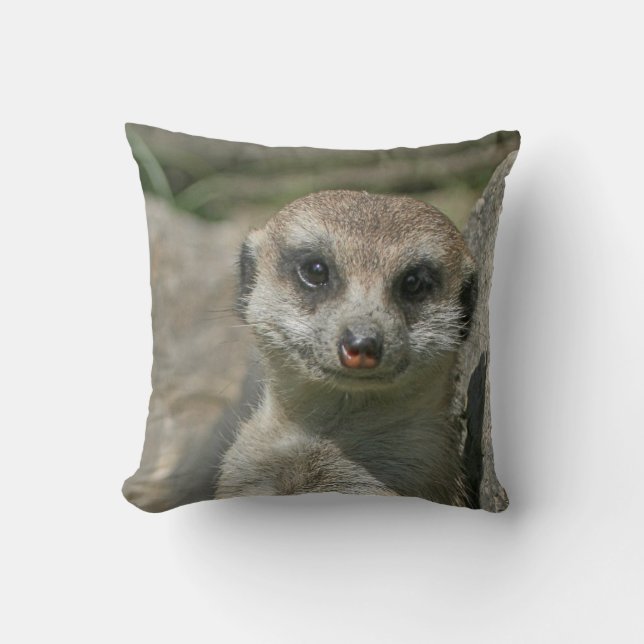 Meerkat 005 cushion (Front)