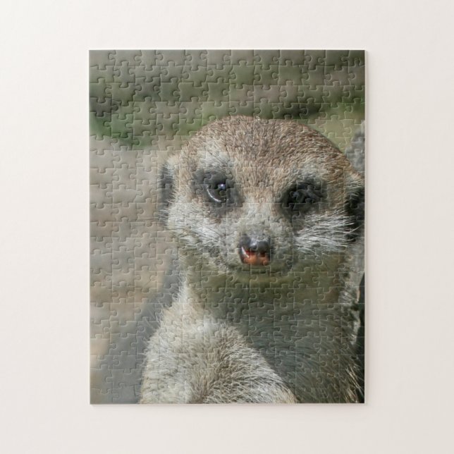 Meerkat 005 jigsaw puzzle (Vertical)