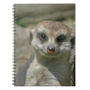 Meerkat 005 spiral notebook
