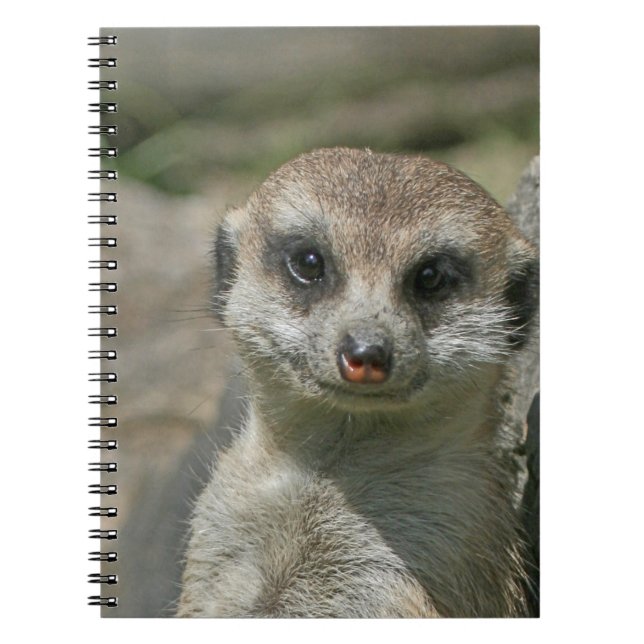 Meerkat 005 spiral notebook (Front)