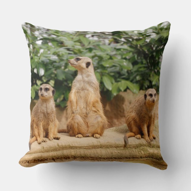 Meerkat 008 cushion (Front)