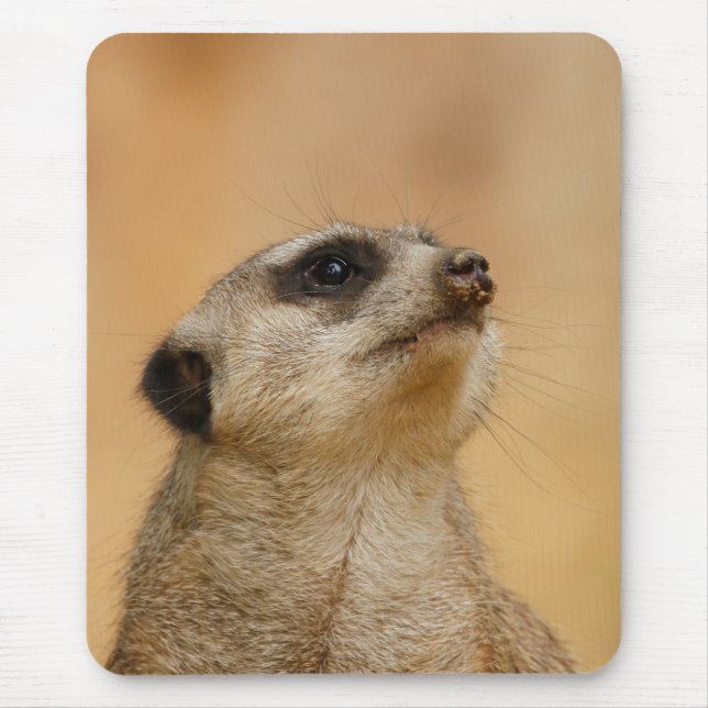 Meerkat 011 mouse pad (Front)