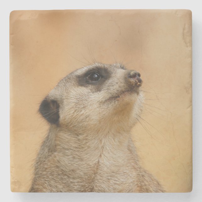 Meerkat 011 stone coaster (Front)
