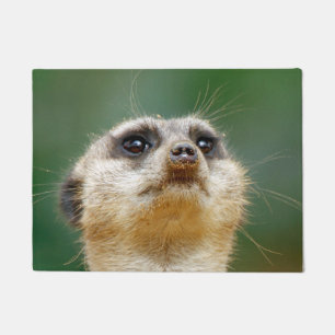 Meerkat 012 doormat