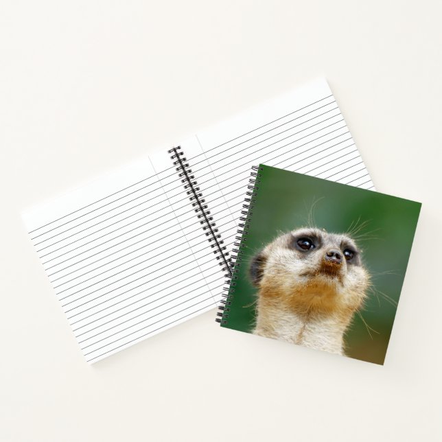 Meerkat 012 notebook (Inside)