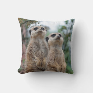 Meerkat 013 cushion