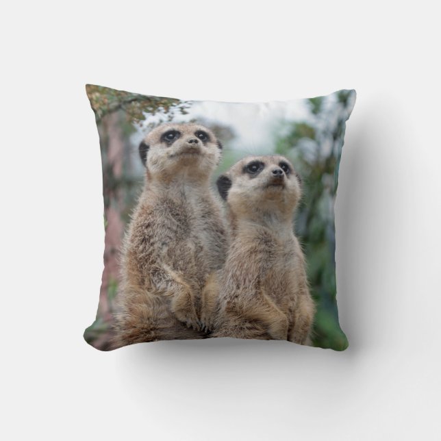 Meerkat 013 cushion (Front)