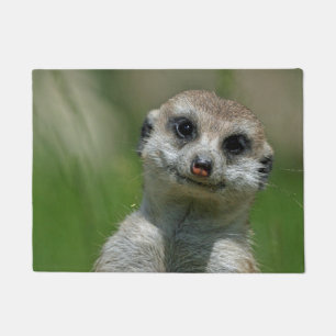 Meerkat 013 doormat