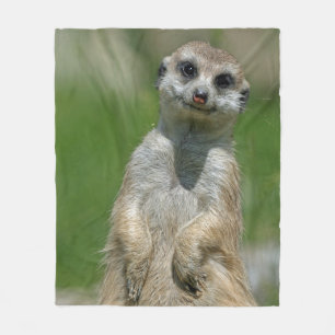 Meerkat 013 fleece blanket