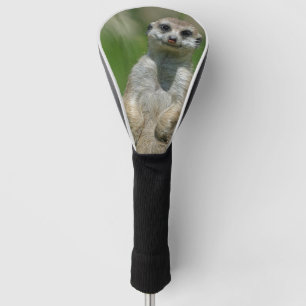 Meerkat 013 golf head cover
