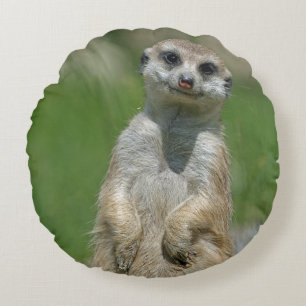 Meerkat 013 round cushion