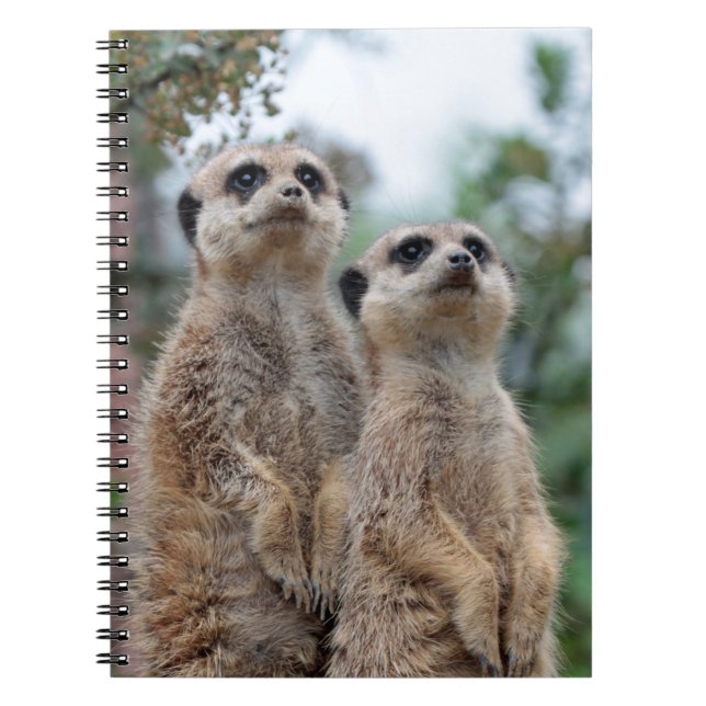 Meerkat 013 spiral notebook (Front)