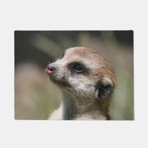 Meerkat 014 doormat