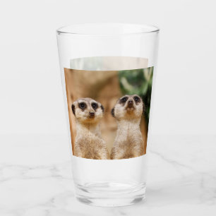 Meerkat 017 glass