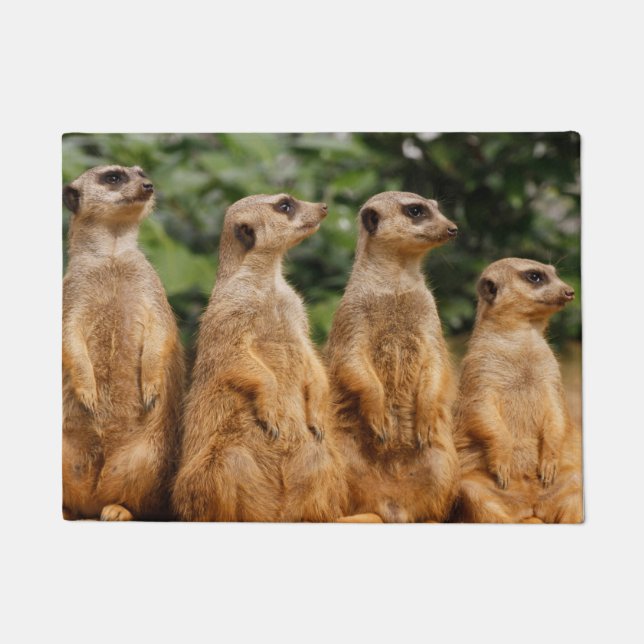 Meerkat 018 doormat (Front)