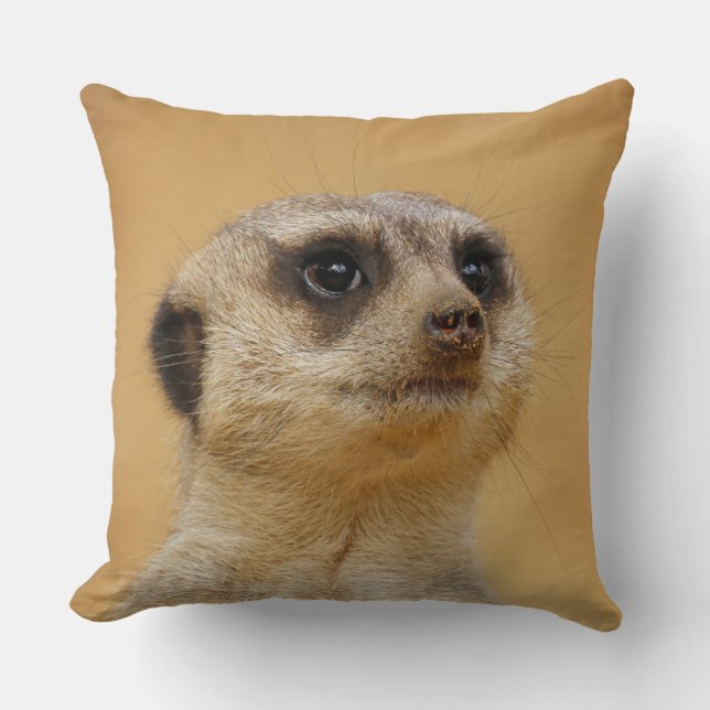 Meerkat 020 cushion (Front)