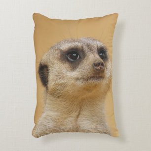 Meerkat 020 decorative cushion