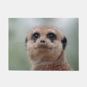 Meerkat 020 doormat
