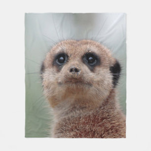 Meerkat 020 fleece blanket