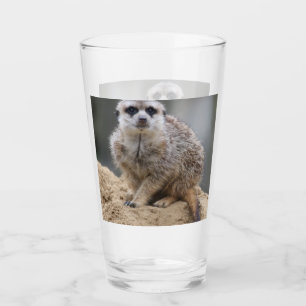 Meerkat 021 glass