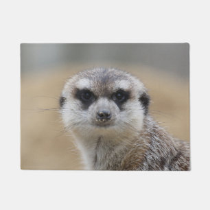 Meerkat 022 doormat