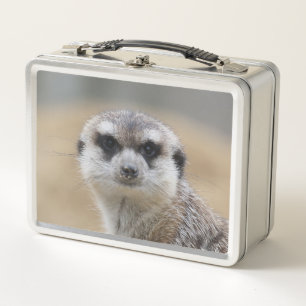 Meerkat 022 metal lunch box