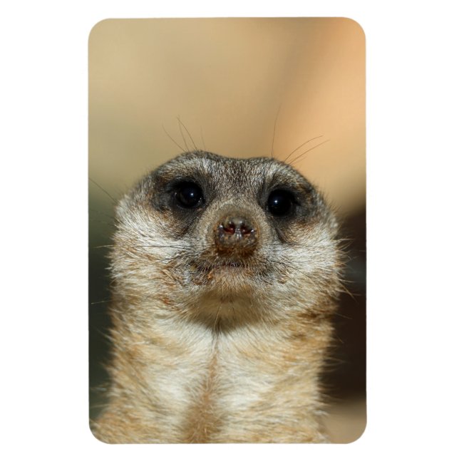 Meerkat 023 magnet (Vertical)