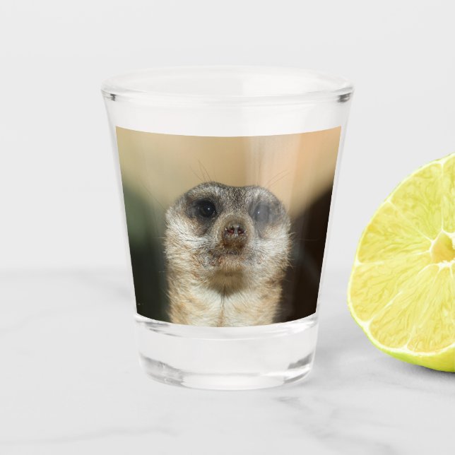 Meerkat 023 shot glass (Front)